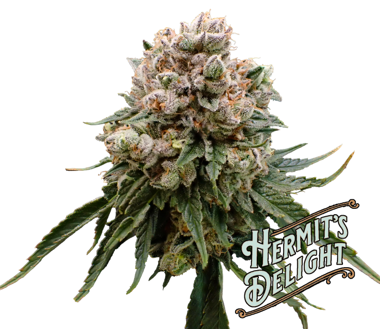 cherry koff dropz with logo