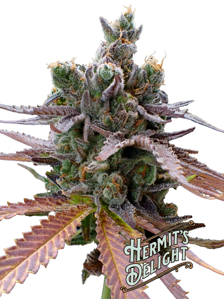 creamy peanus breath with logo